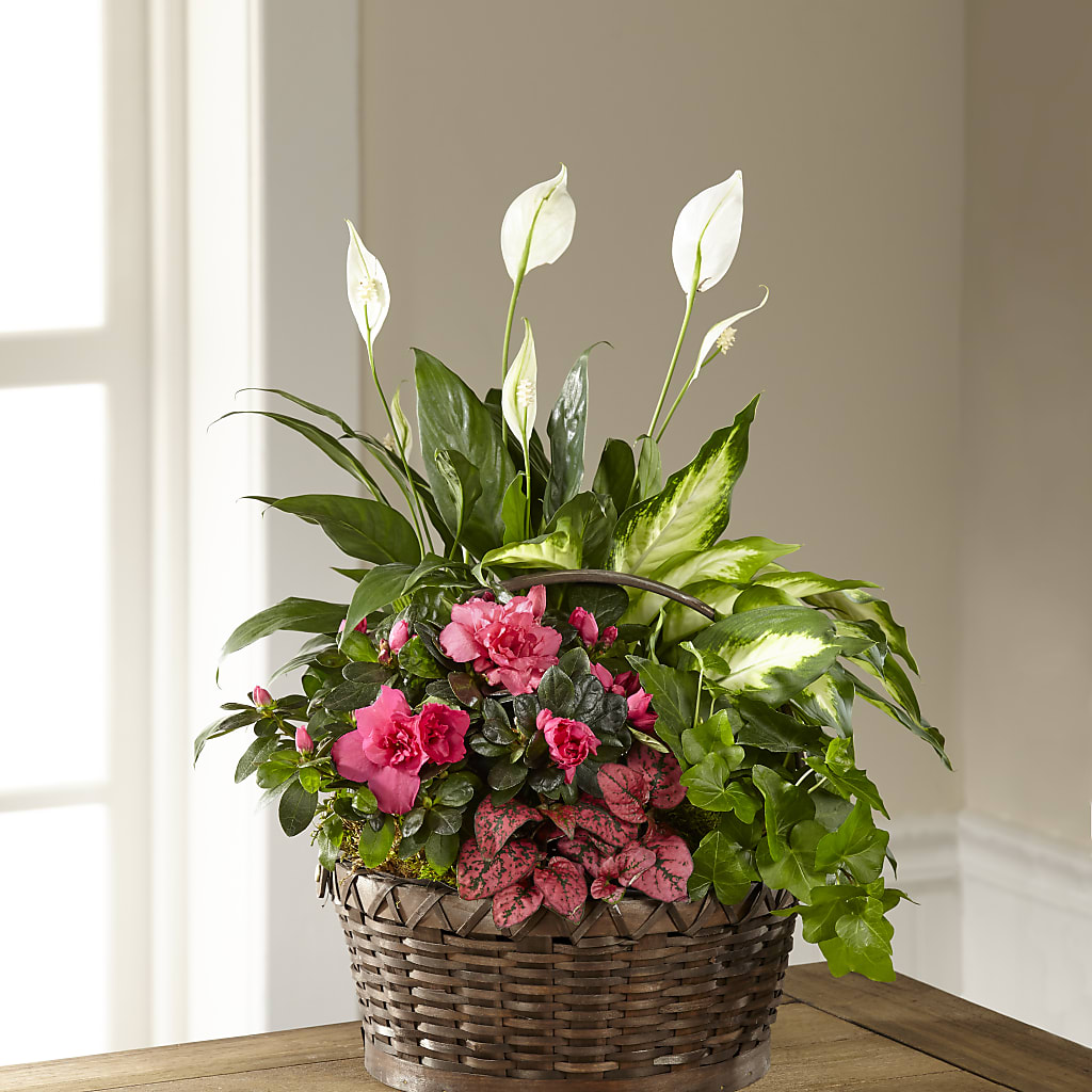 Dream in Pink Dishgarden – Designs By Dj, Huntington WV