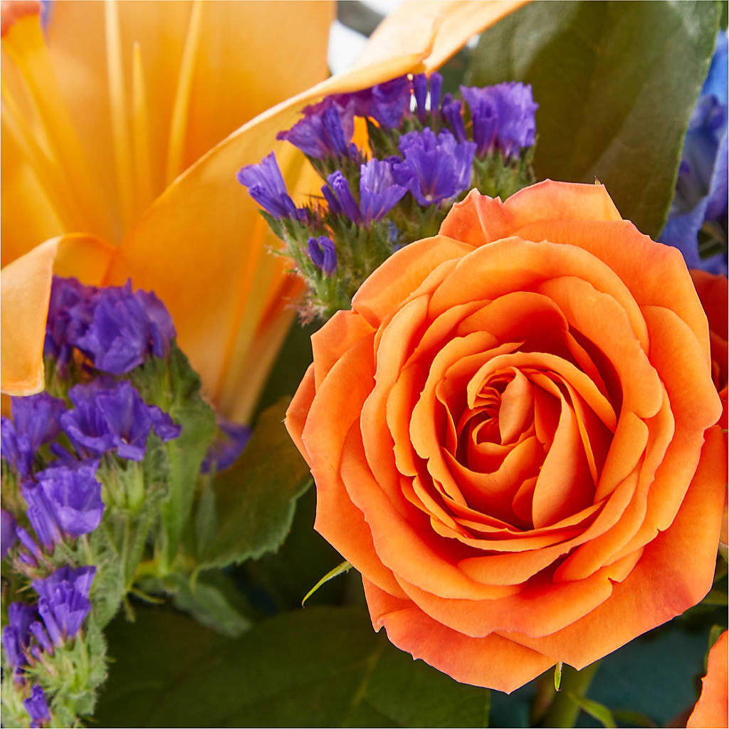 Radiant Citrus Box Bouquet – Designs By Dj, Huntington WV