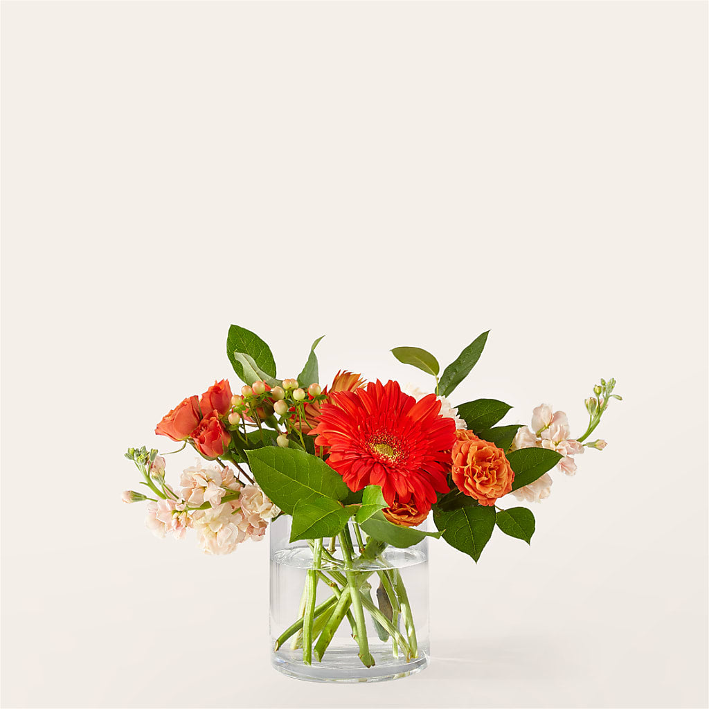 Paloma Please Bouquet – Designs By Dj, Huntington WV