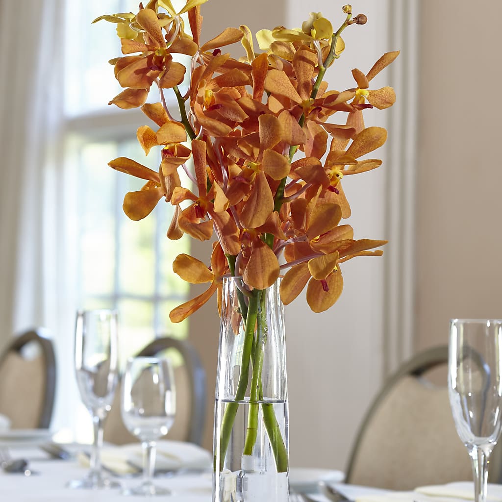Orange Mokara Bud Vase – Designs By Dj, Huntington WV