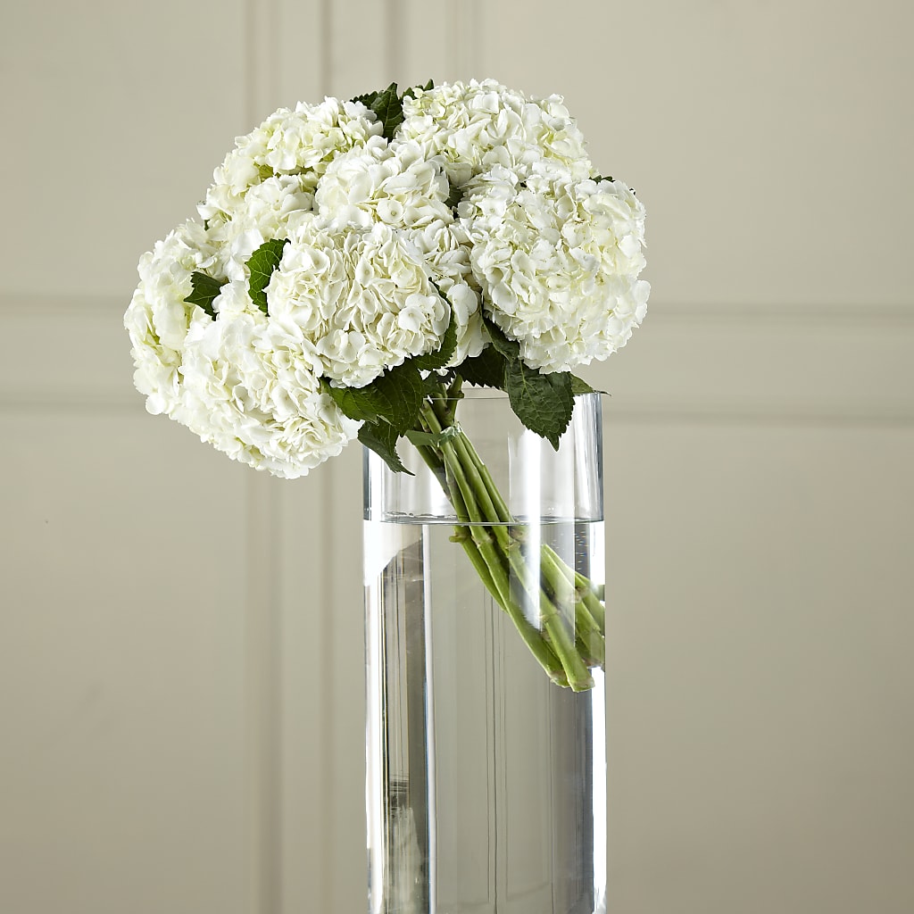 White Hydrangea Hand-Tied Bouquet – Designs By Dj, Huntington WV