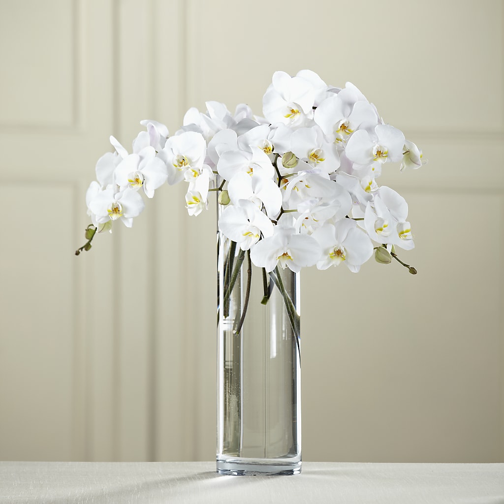 White Phalaenopsis Bouquet – Designs By Dj, Huntington WV