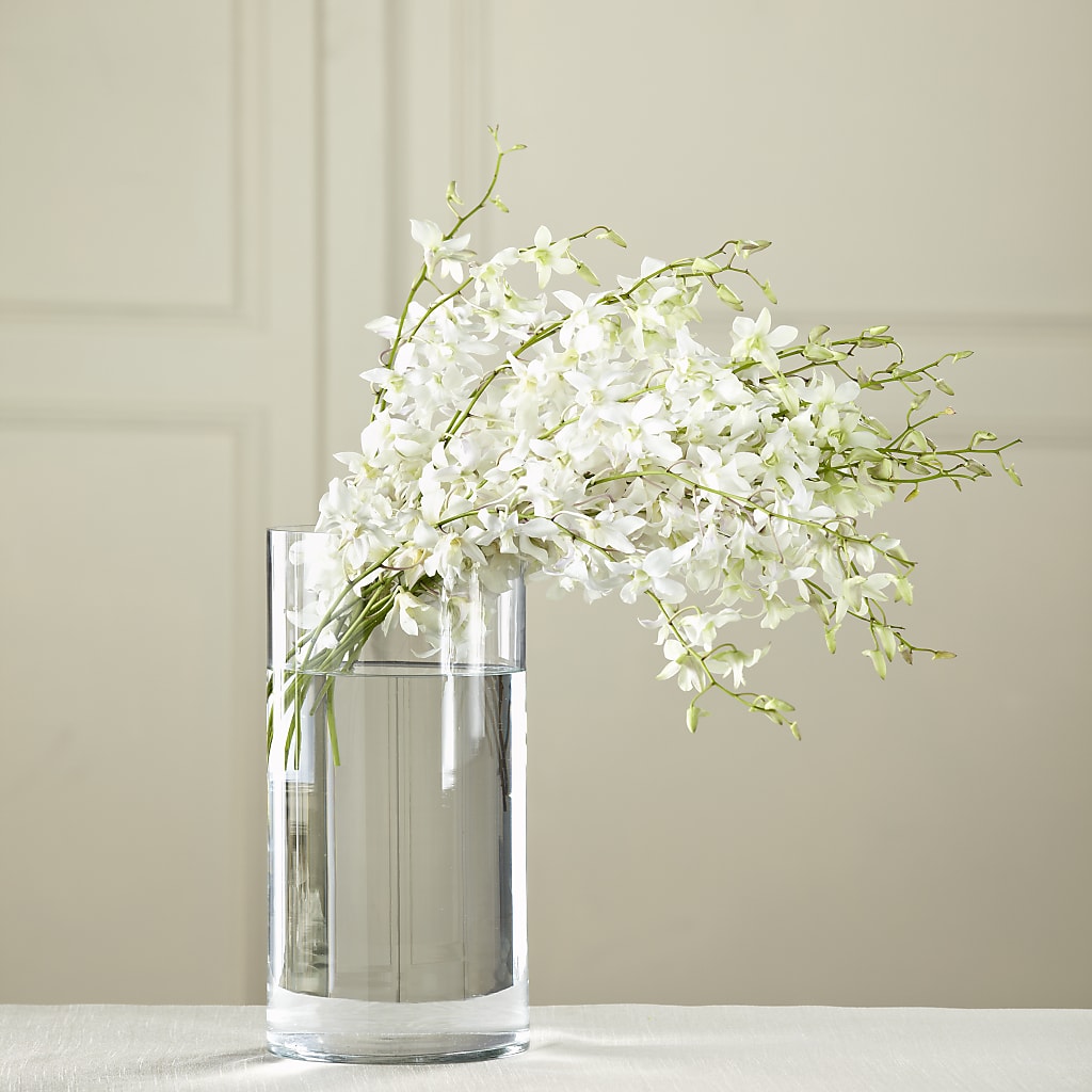 White Dendrobium Bouquet – Designs By Dj, Huntington WV