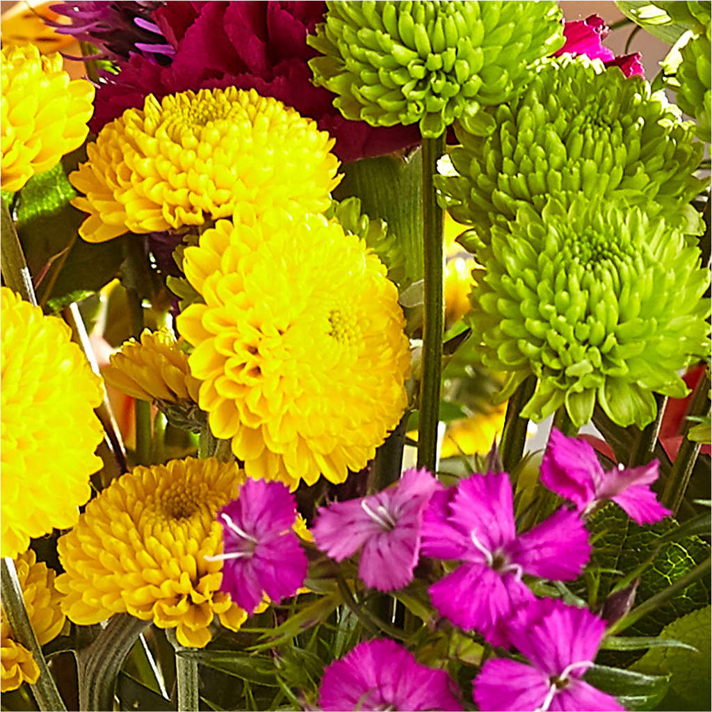 Bold & Bright – A Florist Original –  Designs By Dj, Huntington WV