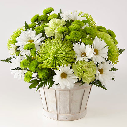 Lucky Charm Basket (Standard) –  Designs By Dj, Huntington WV