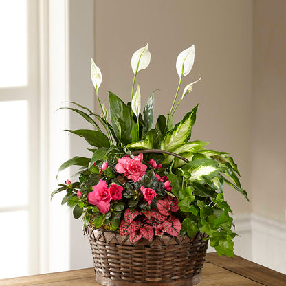 Dream in Pink Dishgarden –  Designs By Dj, Huntington WV