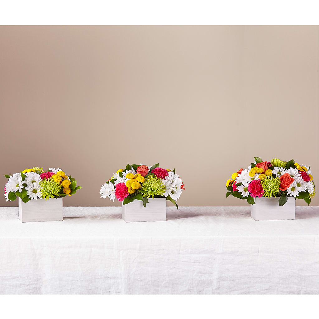 Sorbet Bouquet –  Designs By Dj, Huntington WV