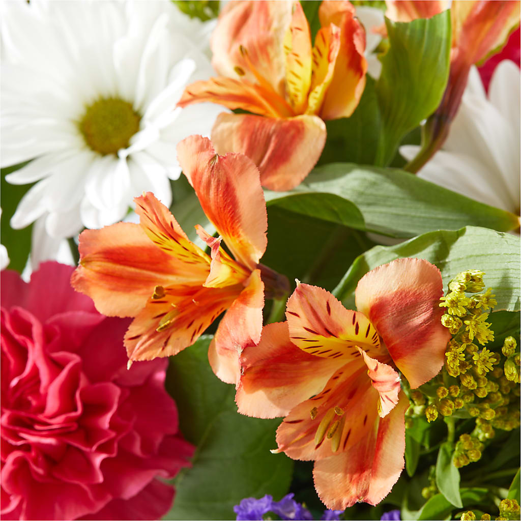 Oopsie Daisy Box Bouquet –  Designs By Dj, Huntington WV