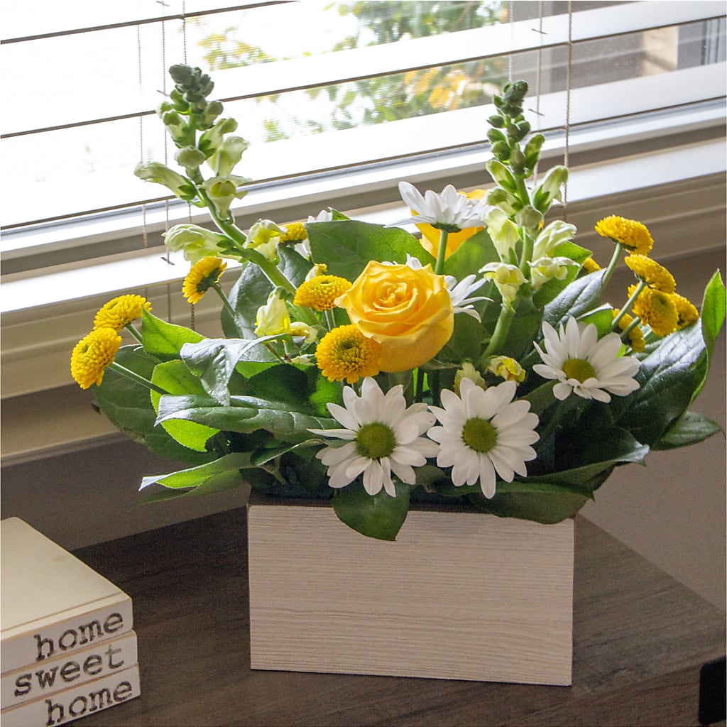 Sun Salutation Box Bouquet –  Designs By Dj, Huntington WV
