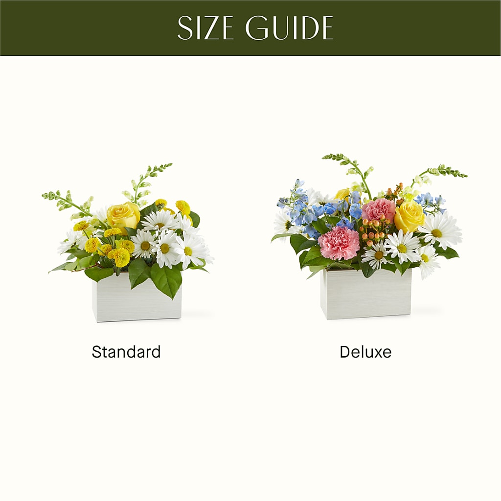 Sun Salutation Box Bouquet –  Designs By Dj, Huntington WV