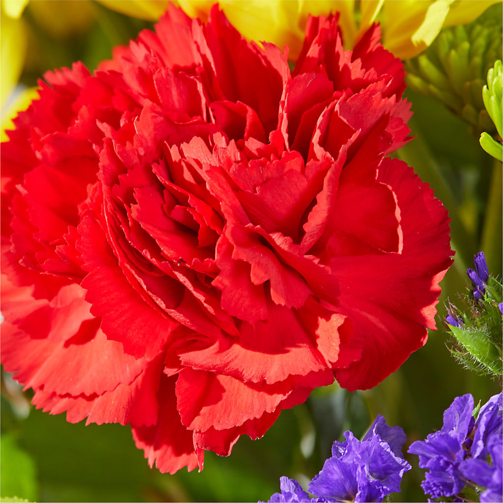 Brighter Days Bouquet –  Designs By Dj, Huntington WV