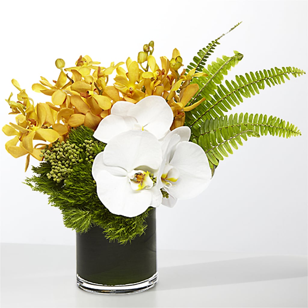The Tropics –  Designs By Dj, Huntington WV