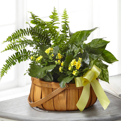 Always Dear Dishgarden –  Designs By Dj, Huntington WV