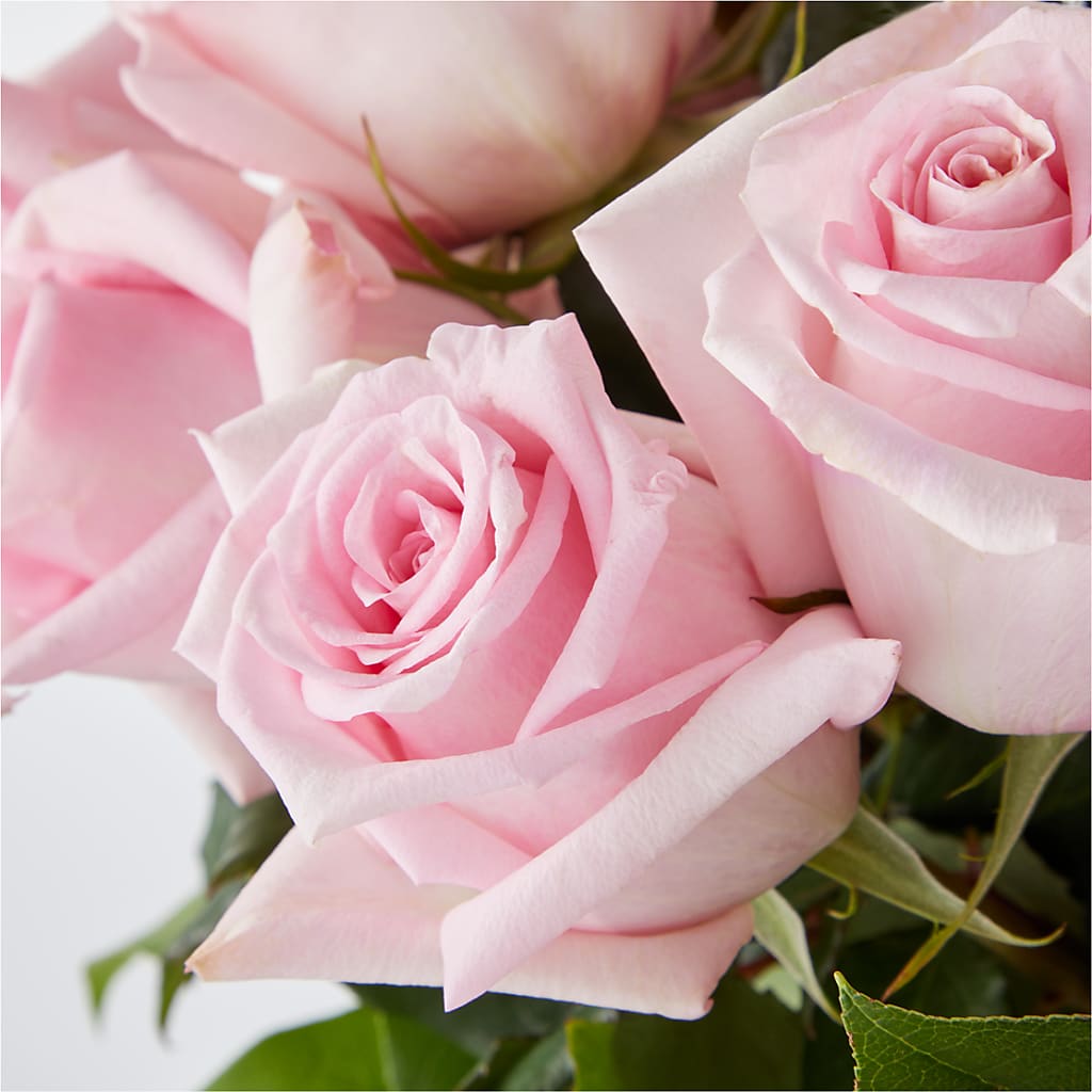 Picture Perfect Pink Rose Bouquet –  Designs By Dj, Huntington WV