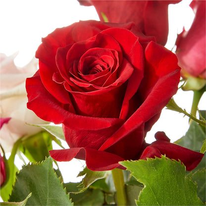 Love Notes Rose Bouquet –  Designs By Dj, Huntington WV