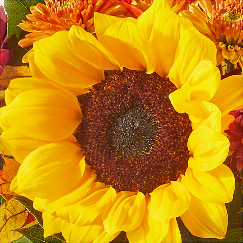 Sunny Side Bouquet –  Designs By Dj, Huntington WV