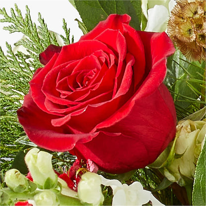 Deck the Halls Bouquet –  Designs By Dj, Huntington WV