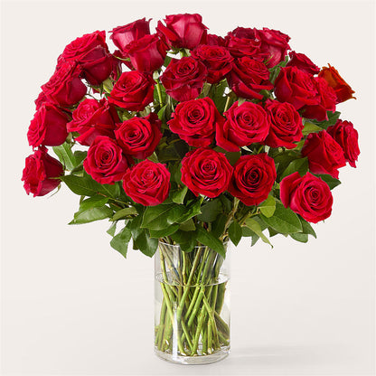 The One Red Rose Bouquet –  Designs By Dj, Huntington WV