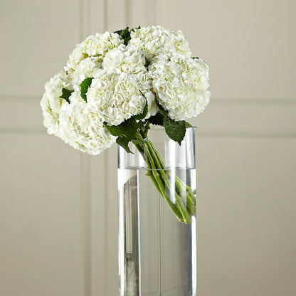 White Hydrangea Hand-Tied Bouquet –  Designs By Dj, Huntington WV