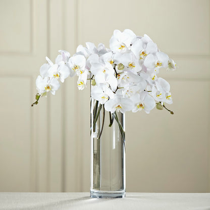 White Phalaenopsis Bouquet –  Designs By Dj, Huntington WV