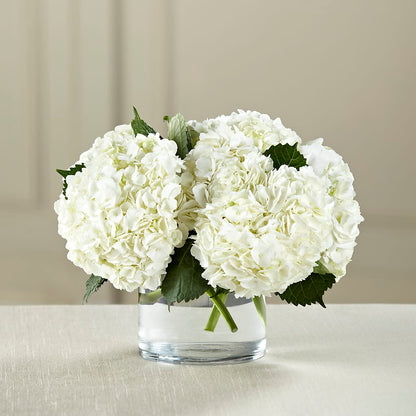 White Hydrangea Bouquet –  Designs By Dj, Huntington WV